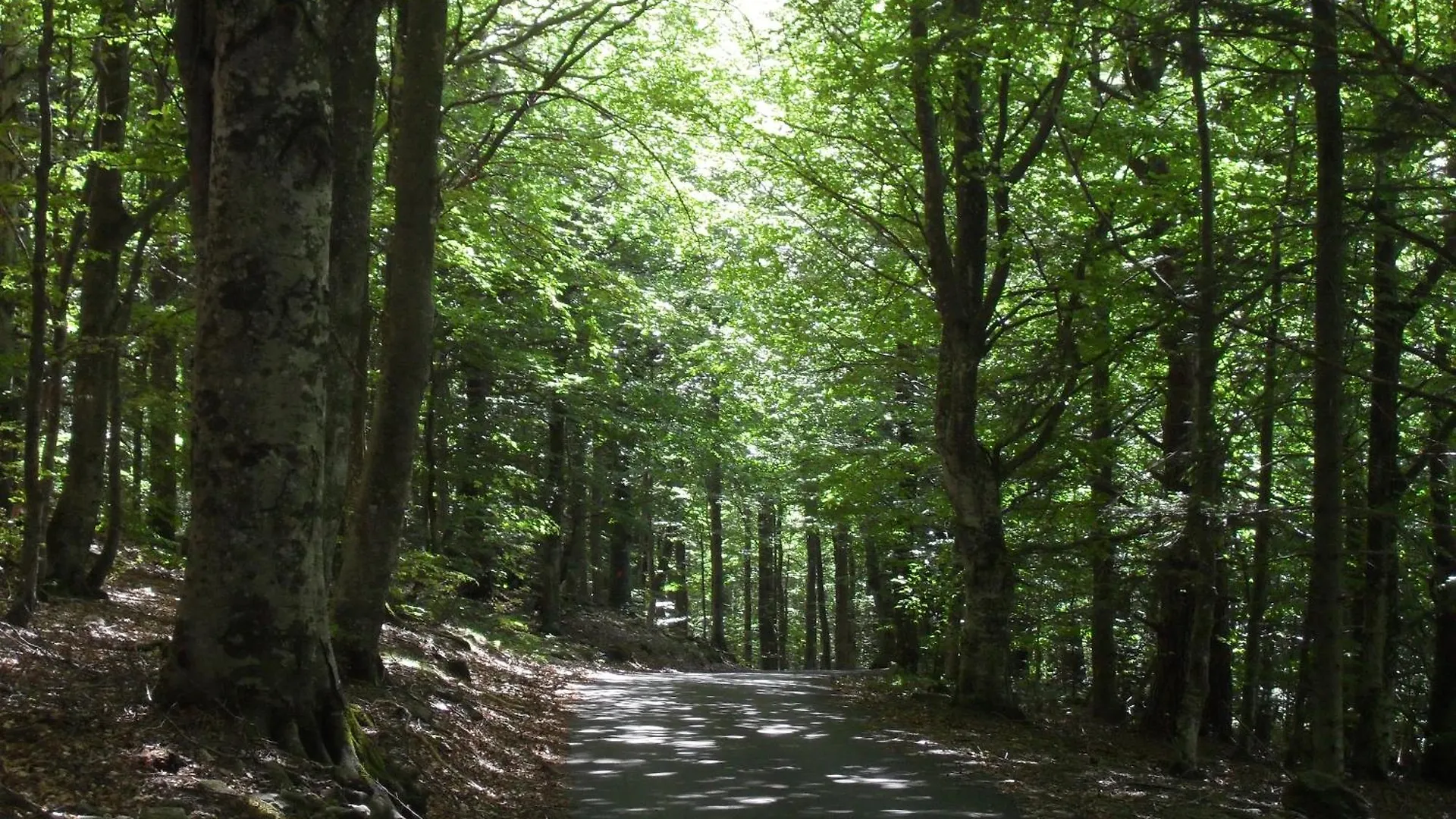 Дом отдыха Gite Parc Naturel Regional Du Pilat Veranne Франция